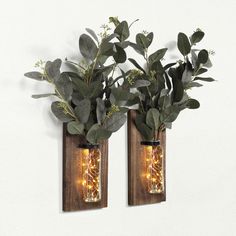 two vases with plants in them are hanging on the wall, one is filled with lights