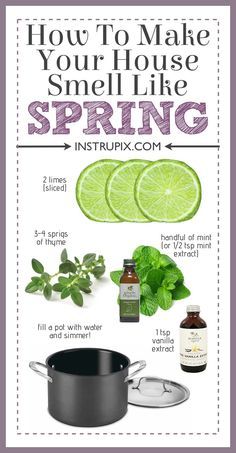 an advertisement for the spring season with limes and herbs on it, including mint leaves