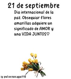 a bunch of yellow flowers sitting in front of a white background with the words 21 de sepembre