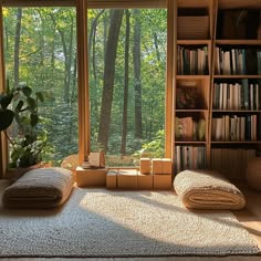 a living room with bookshelves, pillows and a rug in front of the window