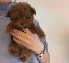 a person holding a brown teddy bear in their arms and wearing a bracelet on her wrist