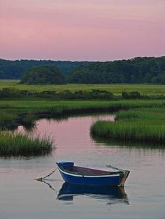 a small boat floating on top of a lake next to lush green grass and trees