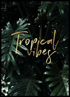 the words tropical vibes are written in gold foil on top of green plants and leaves