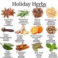 an image of holiday herbs for the body and health conscious people to enjoy this holiday season