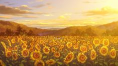 the sun shines brightly over a large field of sunflowers