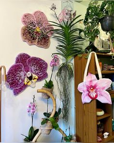 several different types of flowers are hanging on the wall