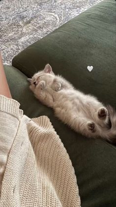 a cat laying on top of a green couch next to a person's leg