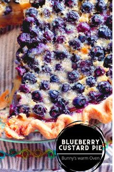 A top view of a Blueberry Custard Pie in a glass pie plate. Blueberry Pina Colada Pie, Blueberry Pie Filling Uses, Pie Blueberry Recipe, Blueberry Custard Crumble Pie, Blackberry Custard Pie Recipe, Custard Fruit Pie, Cold Blueberry Pie, Fresh Frozen Blueberry Recipes, Blueberries Pie Recipe