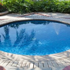 an empty swimming pool in the middle of a garden