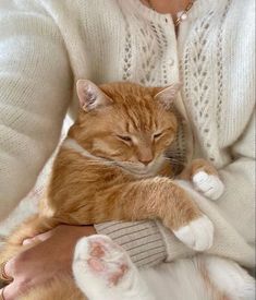 an orange and white cat laying on the arm of a woman