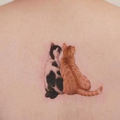 two cats sitting next to each other on the back of a woman's shoulder