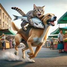 a cat riding on the back of a dog that is holding a fish in it's mouth