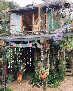 a dog standing on the porch of a house with plants and decorations hanging from it's roof