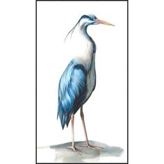 a blue and white bird with long legs