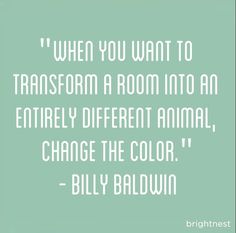 a quote that reads, when you want to transform a room into an entirely different animal, change the color