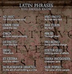 latin phrases you should know to learn in your own language, and then use them