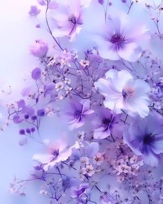 purple and white flowers on a blue background with soft light coming from the bottom right corner