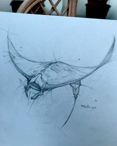 a drawing of a bull's head on a piece of paper next to a chair