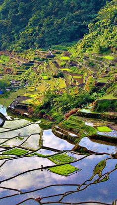 an aerial view of rice terraces in the mountains and fields, with blue water running through them