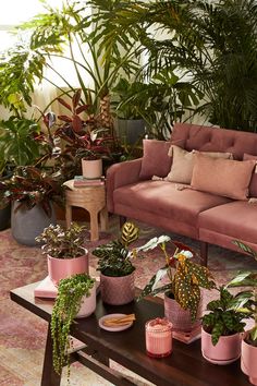 a living room filled with lots of potted plants on top of a wooden table