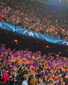 a large group of people holding flags in front of a crowd at a sporting event