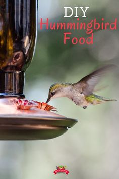 a hummingbird feeding from a bird feeder with the words diy hummingbird food above it