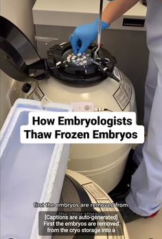 How embryologists thaw frozen embryos Fertility Journal, Surrogacy Photos, Fertility Help, Freezing Eggs, Ivf Baby