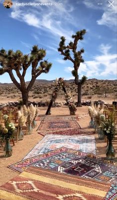 an outdoor wedding setup in the desert with chairs and rugs lined up on the ground