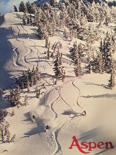 an aerial view of skiers skiing down a snowy slope with trees in the foreground