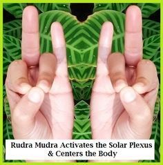 Ruda Mudra for Solar Plexus & More... balancedwomensblog.com Hand Yoga, Developement Personnel, Hand Mudras, Yoga Kundalini, Yoga Hands, Energy Yoga, Chakra Symbols, Healing Yoga