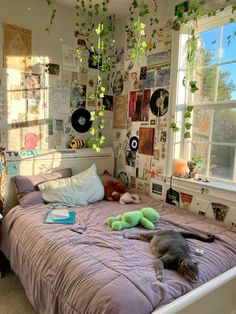 a cat laying on top of a bed in a room with lots of plants hanging from the ceiling