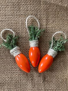 three carrots are tied up with twine