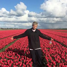 a man standing in a field full of red tulips with his arms outstretched