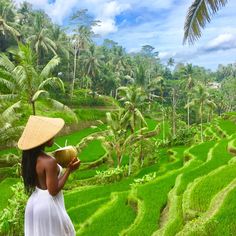 a woman wearing a straw hat and holding a book in front of a rice field