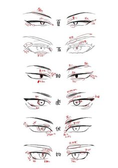 the different types of eyes and how to draw them