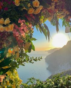 the sun shines through some flowers on top of a hill overlooking water and mountains