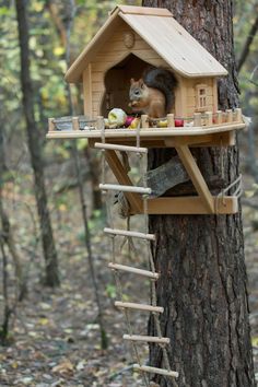 a squirrel house built into the side of a tree