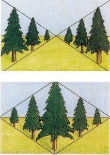 three different views of trees in the same area, each with their own individual image