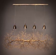 four lights hanging from the ceiling above a tree branch