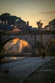 two people walking their dogs on the street in front of an old bridge at sunset