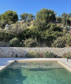 an empty swimming pool surrounded by greenery and stone walls with trees in the background