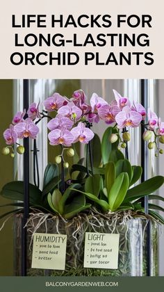 an orchid plant with tags on it that says, life hacks for long -lasing orchid plants