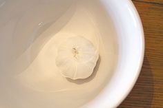 a white bowl with a single flower in it