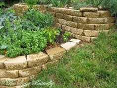 an outdoor garden area with stone steps and plants growing in the ground next to it