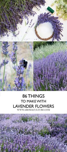 lavender flowers with the words, 8 things to plant in lavenders and how to use them