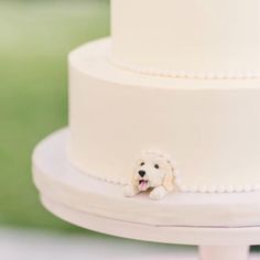 a close up of a white cake with a dog on it