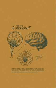 an old book with some drawings on the front and side of it that says, are we conscious?