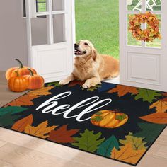 a dog is sitting on the door mat in front of an open door with fall leaves and pumpkins