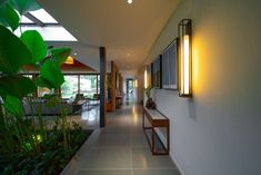 a long hallway with plants and lights on the side wall, leading to an open floor plan