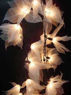 white flowers with lights strung from them